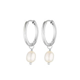 Sterling Silver Isla Pearl Earrings