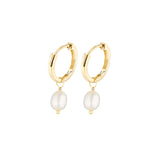 Yellow Gold Isla Pearl Earrings