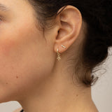 Yellow Gold My True North Earrings