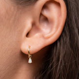 Yellow Gold Vesper Earrings